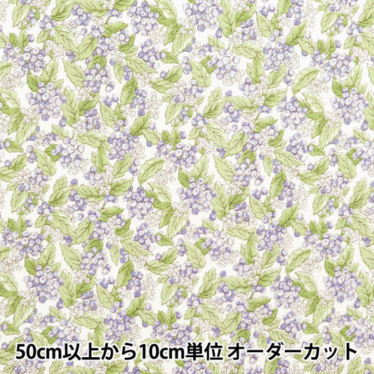 [来自数量5] 织物 “ Takashima Chijimi Real Purple 205041-4”