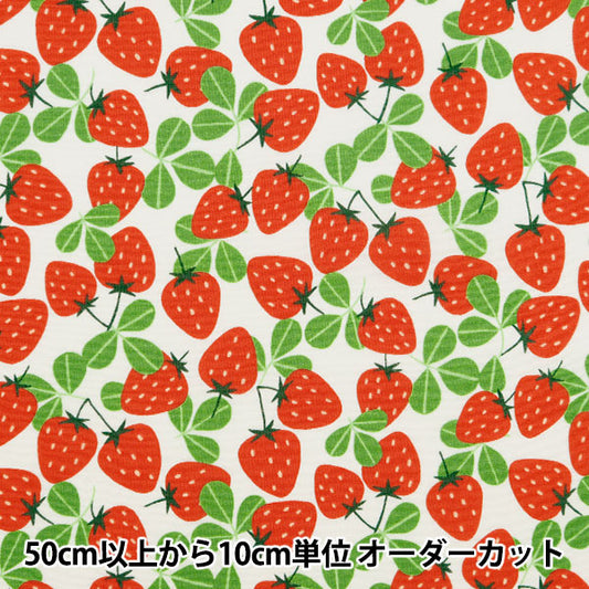[From quantity 5] Fabric 『Scare Print Strawberry Party Strawberry and Leaf Cream 850447-1-1]