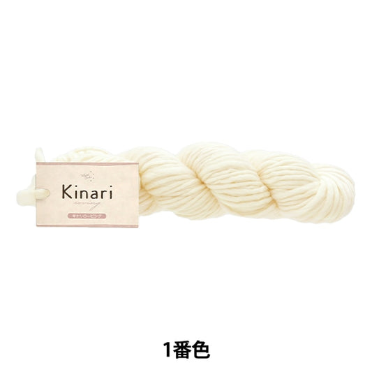 秋冬纱线 “ Kinari Lobing 1号AY23208”世界Festa世界Festa