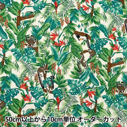 [来自数量5] 织物 『牛津布 热带Kinari AP42813-1B]