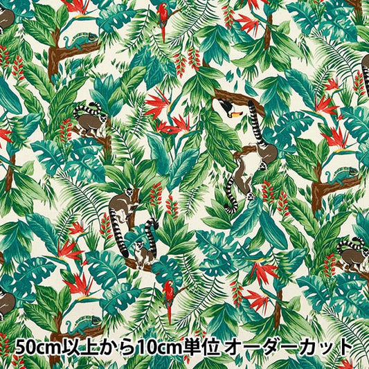 [来自数量5] 织物 『牛津布 热带Kinari AP42813-1B]