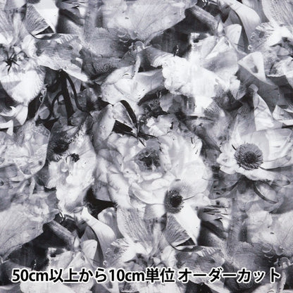 [来自数量5] 织物 “自由结构 塔纳草坪 冷冻旅馆时间3634219-24BU] Liberty Japan