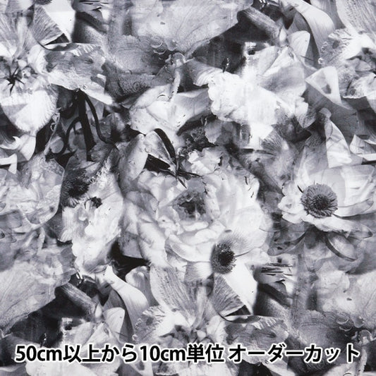 [来自数量5] 织物 “自由结构 塔纳草坪 冷冻旅馆时间3634219-24BU] Liberty Japan