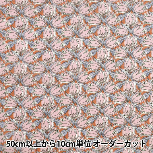 [来自数量5] 织物 “自由结构 塔纳草坪 EVRINT TRAIL 3634294-24BU] Liberty Japan