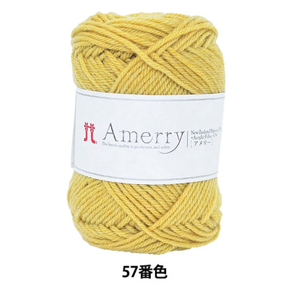 秋冬紗線 “ Amerry第57顏色” Hamanaka