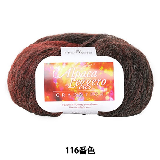 秋冬纱线 『羊驼毛联盟登录116颜色“ Richmore Rich More
