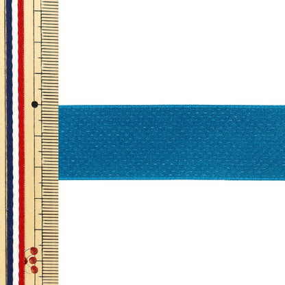 [數量從5開始] 絲帶 “傑出的絲帶 大約24mm寬，顏色69 UR-0330"