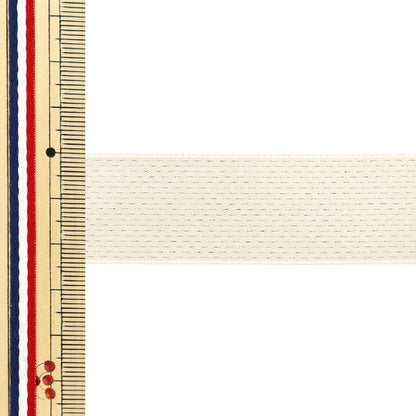 [數量從5開始] 絲帶 “傑出的絲帶 大約24mm寬，顏色30 UR-0330"