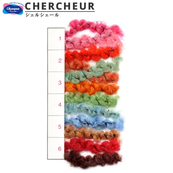 秋冬纱线 “ Chercheur（Shelcher）2号颜色” Olympus