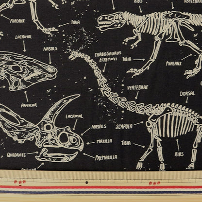 [From quantity 5] Fabric "Inkjet print Dino World" USA cotton