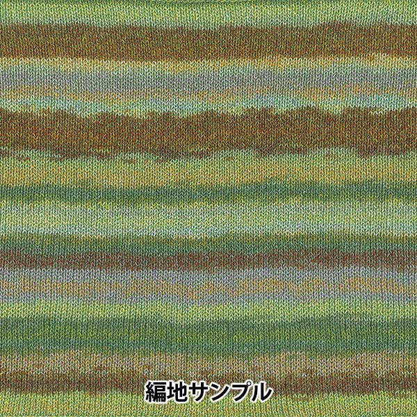 春夏纱线 “ Vega（Vega）1119颜色”滑雪滑雪纱