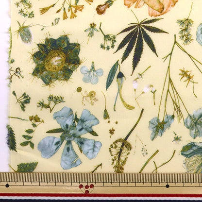 [From quantity 5] Fabric "Liberty Liberty Print Tana lawn Floral Eve 3633189-WE] Liberty Japan