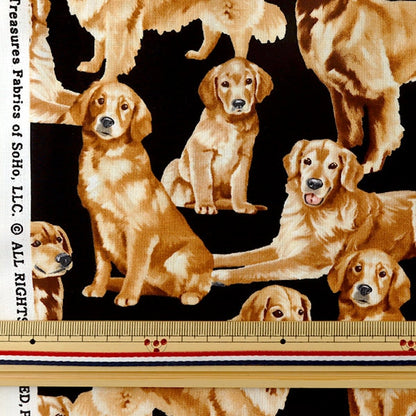 [From quantity 5] Fabric "Inkjet Print Golden Retriever C4892-Golden" USA cotton