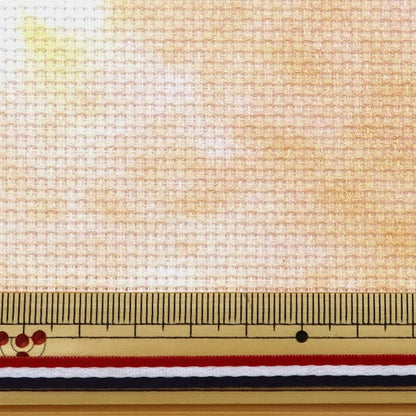 Embroidery Fabric "Charles Craft Printed Aida (Print Aida) 14 Counts 55 Eye 3855 No. 3855 Color (SAND Sandy Beach)" DMC Diet
