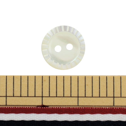 ボタン 『シェルボタン 二つ穴 1.3cm ST501』