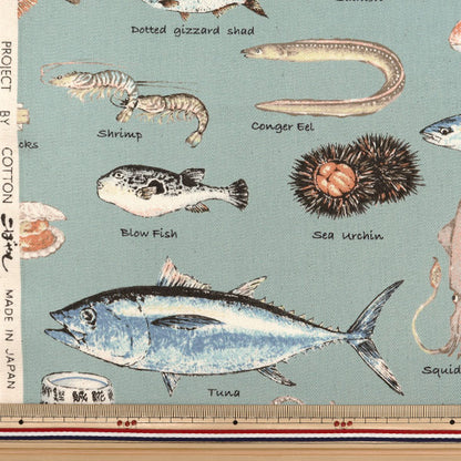 [From quantity 5] Fabric "Twill printed sushi material pattern blue KTS6760-D" COTTON KOBAYASHI