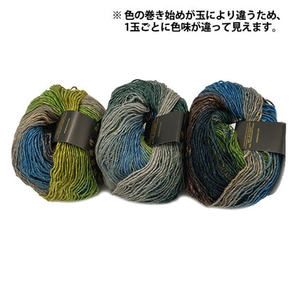 秋冬纱线 “丝绸gar den Fine 1203颜色” Noro Hideaku Noro