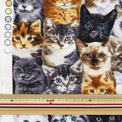 [From quantity 5] Fabric "Inkjet print cat C8417-MULTI" USA cotton