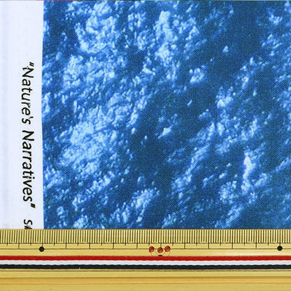 [From quantity 5] Fabric "Inkjet printed marine R4668-73" USA cotton