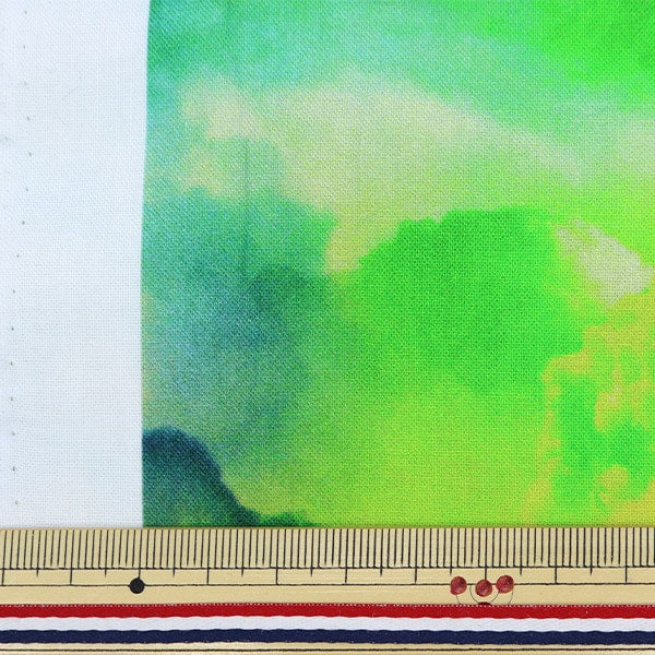 [From quantity 5] Fabric "Inkjet Print Radical Rainbow S4825-181" USA cotton