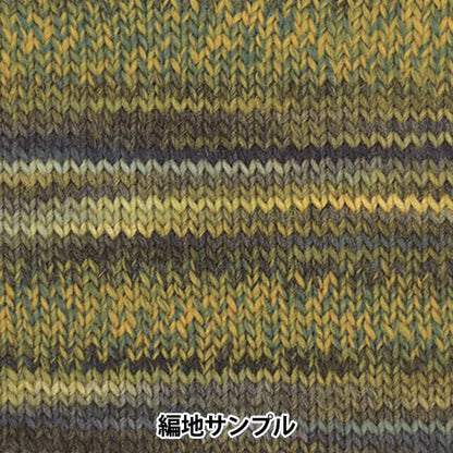 秋冬纱线 “化妆100 1031颜色” Olympus