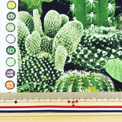[From quantity 5] Fabric "Inkjet Print Cactus C8425-GREEN" USA cotton