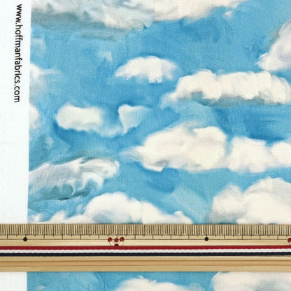 [来自数量5] 织物 “美国棉花艺术家仙境天空T4896-16”