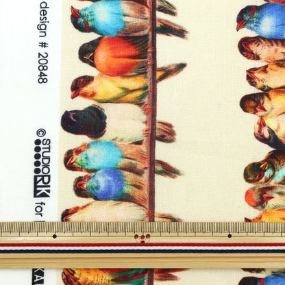 [From quantity 5] Fabric "USA Cotton Vintage Bird Watcher 20848-268"