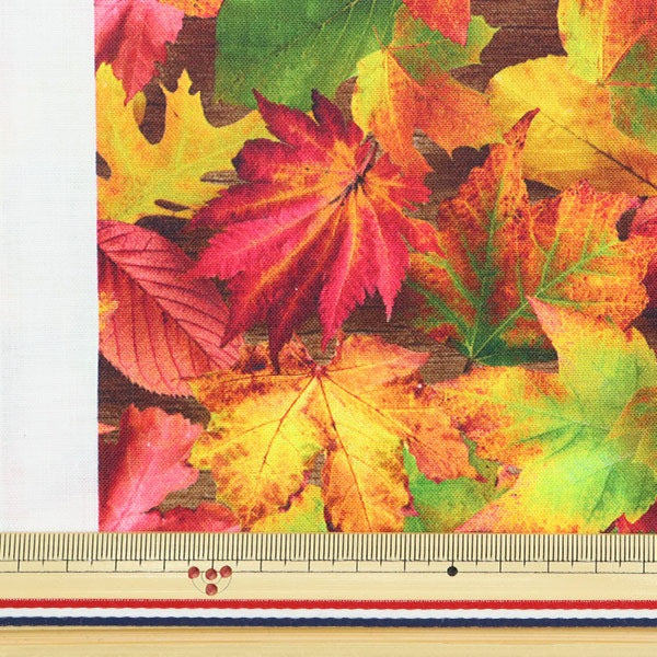 [From quantity 5] Fabric "USA Cotton Imagine's Nature (Autumn Type) 20910-268"