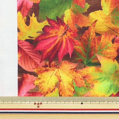 [From quantity 5] Fabric "USA Cotton Imagine's Nature (Autumn Type) 20910-268"