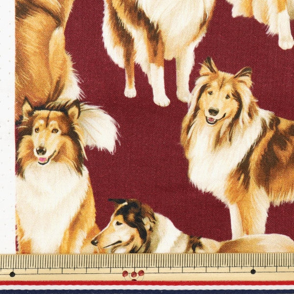 [From quantity 5] Fabric "USA Cotton Pure Breed C1031-Maron"