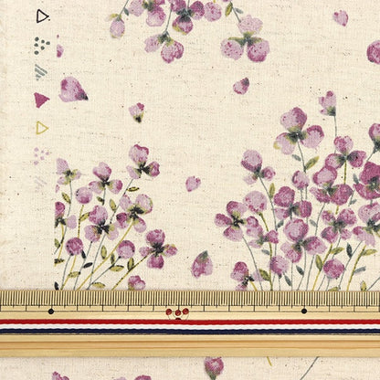 [From quantity 5] Fabric "MOMEN-T moment cotton linenSheeting Sumire beige 148-1255-I1]