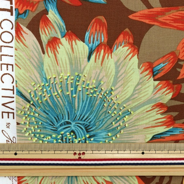 [From quantity 5] Fabric "USA Cotton Kaffe Fassett Cactus Flower PJ096-BROWN"