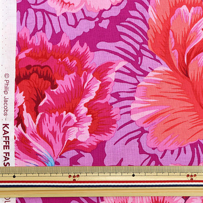 [From quantity 5] Fabric "USA Cotton Kaffe Fassett Brocade Pionie PJ062-HOT"
