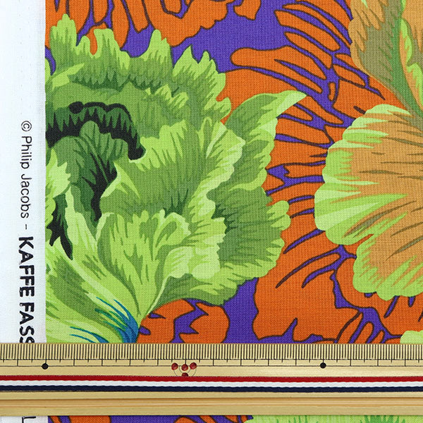[From quantity 5] Fabric "USA Cotton Kaffe Fassett Brocade Pionie PJ062-Moss"