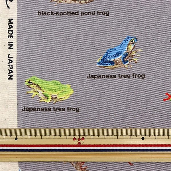 [來自數量5] 織物 “ Twill Frog圖片書KTS6857-B” COTTON KOBAYASHI