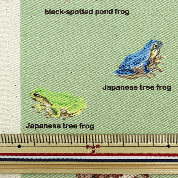 [來自數量5] 織物 “ Twill Frog圖片書KTS6857-D” COTTON KOBAYASHI