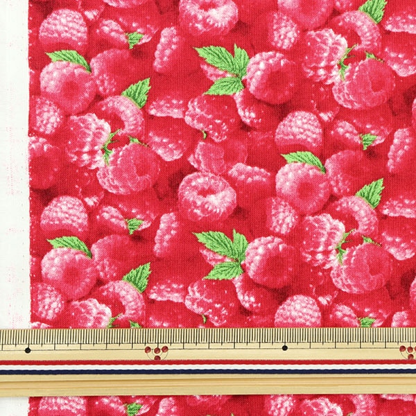 [From quantity 5] Fabric "USA Cotton Berry Good Raspberry Pattern 154-Raspberry"
