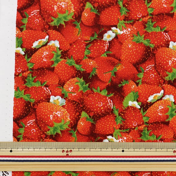 [From quantity 5] Fabric "USA Cotton Berry Good Strawberry Pattern 155-RED"