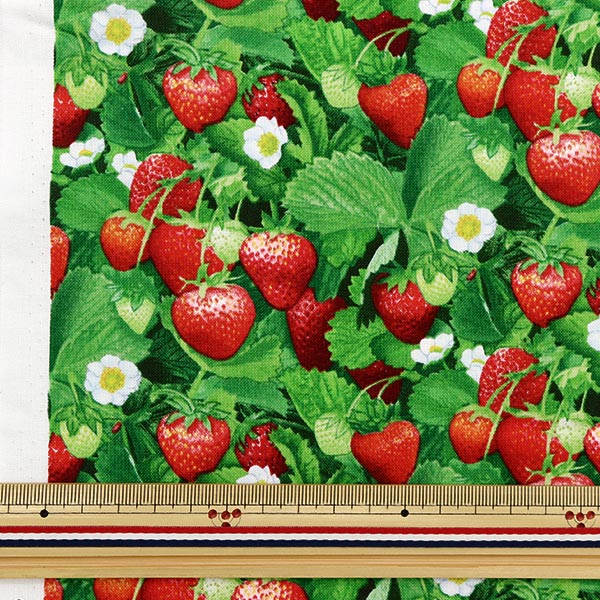 [From quantity 5] Fabric "USA Cotton Berry Good Strawberry Pattern 507-GREEN"