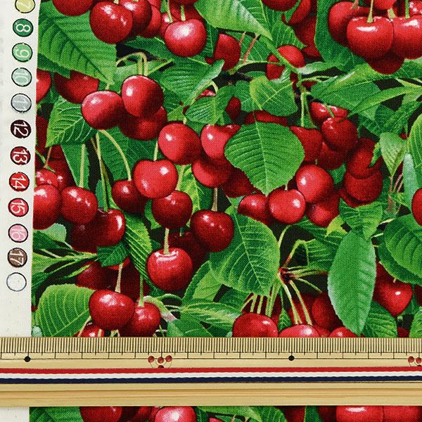 [From quantity 5] Fabric "USA Cotton Berry Good Cherry Pattern 508-GREEN"