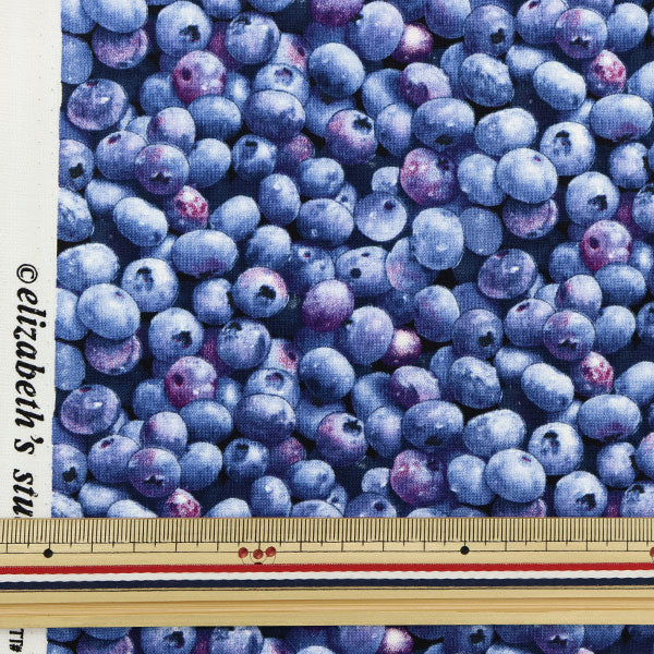 [From quantity 5] Fabric "USA Cotton Berry Good Blueberry Pattern 509-BLUE"