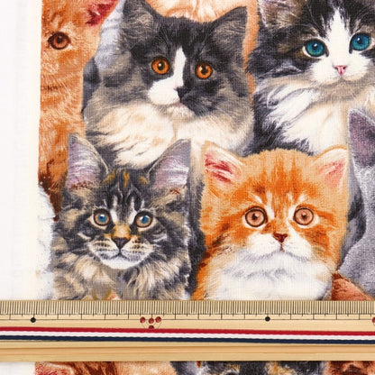 [From quantity 5] Fabric "USA Cotton Ada Betts Cat Pattern 3802-MULTI"