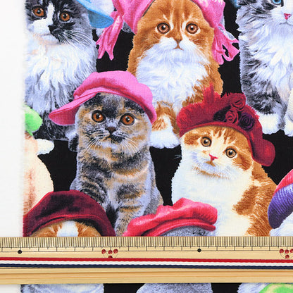 [From quantity 5] Fabric "USA Cotton Adolive Pets Cat Pattern 3805-Black"
