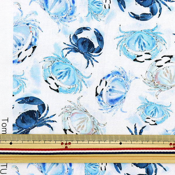 [From quantity 5] Fabric "USA Cotton Ocean Blue Clubs CD1302-WHITE"