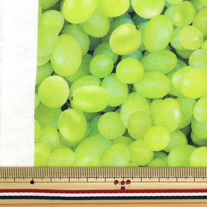 [From quantity 5] Fabric "USA Cotton Packdo Grapeus Green Fruit-CD1373"