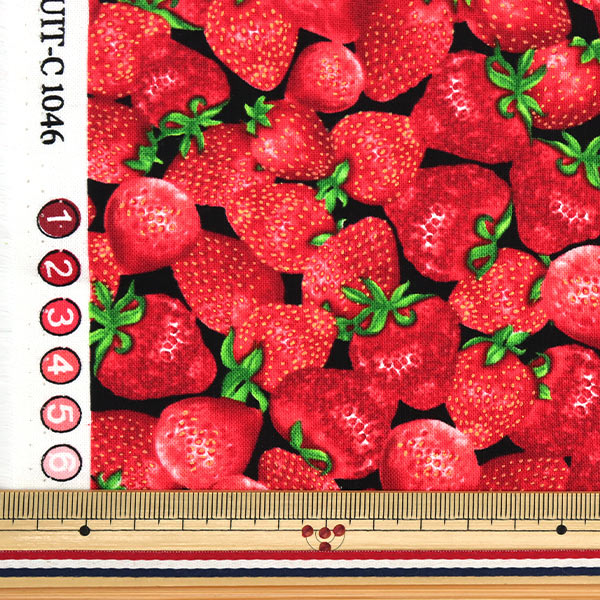 [From quantity 5] Fabric "USA Cotton Packed Strawberry Black Fruit-C1046"
