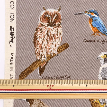 [來自數量5] 織物 “ Twill Bird圖片書灰色KTS6890-D” COTTON KOBAYASHI