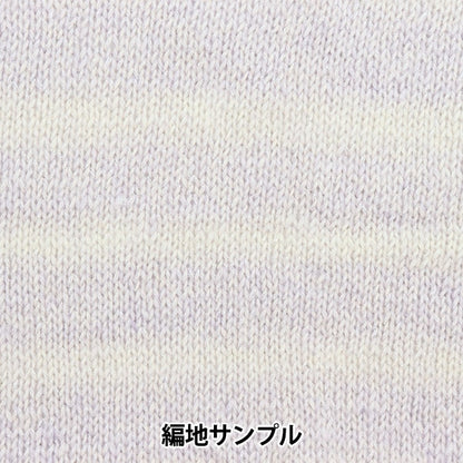 秋冬纱线 “抗菌和除臭剂闪亮渐变13颜色”世界Festa世界Festa