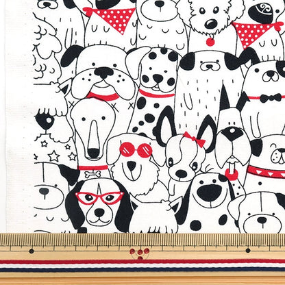 [From quantity 5] Fabric "USA Cotton Happy Houng CX10626-WHITE"